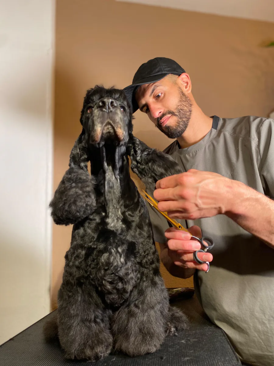 Álvaro con la tijera junto al cocker, empezando el corte