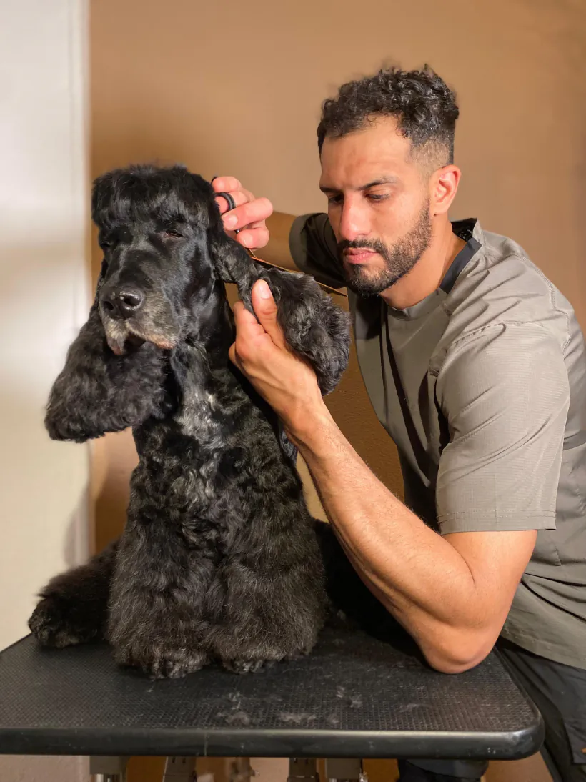 Álvaro peinando la oreja de un cocker negro sobre la mesa